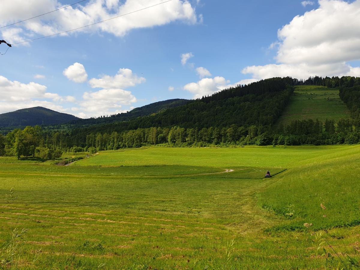 Apartament Stok O Krok Stronie Slaskie Bagian luar foto